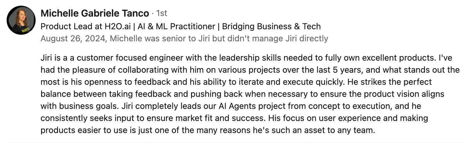 LinkedIn recommendation from Michelle Tanco